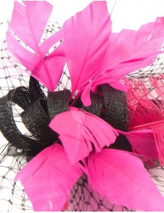 Jerry Feather Fascinator-Pink-Onesize