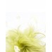 Benita Feather Fascinator-Green-Onesize