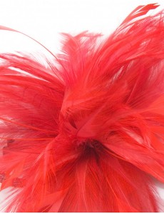 Lacy Feather Fascinator-Red-Onesize