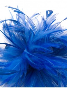 Lacy Feather Fascinator-Blue-Onesize